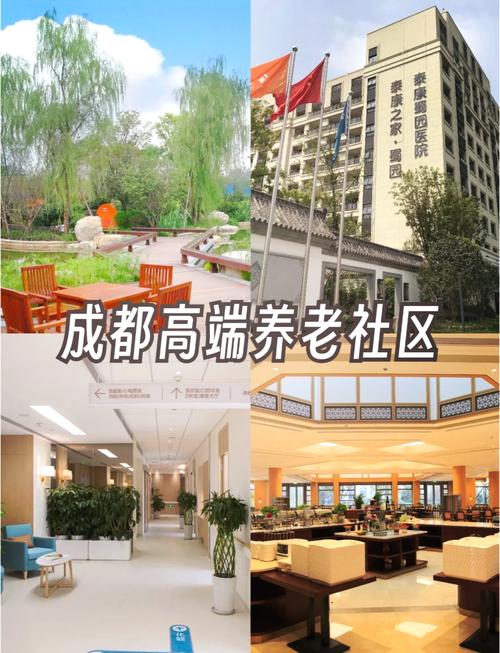 成都居家养老项目